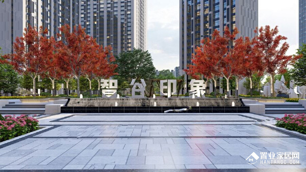  智谷印象